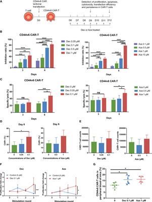 Demethylating therapy increases cytotoxicity of CD44v6 CAR-T cells against acute myeloid leukemia